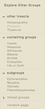 exploring other groups