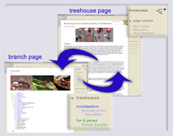 publish your treehouse on the ToL